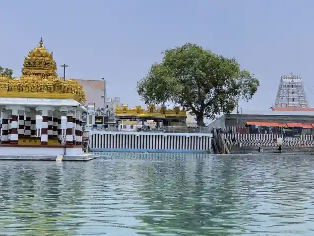 Padmavathi Temple Tiruchanur